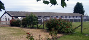 Kennel cropped